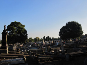 Roman Catholic section at north of Melbourne General Cemetery 52/12/1 by Collingwood Historical Society
